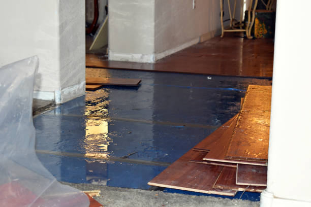 Professional Emergency Water Damage Restoration technician working in Paoli, IN